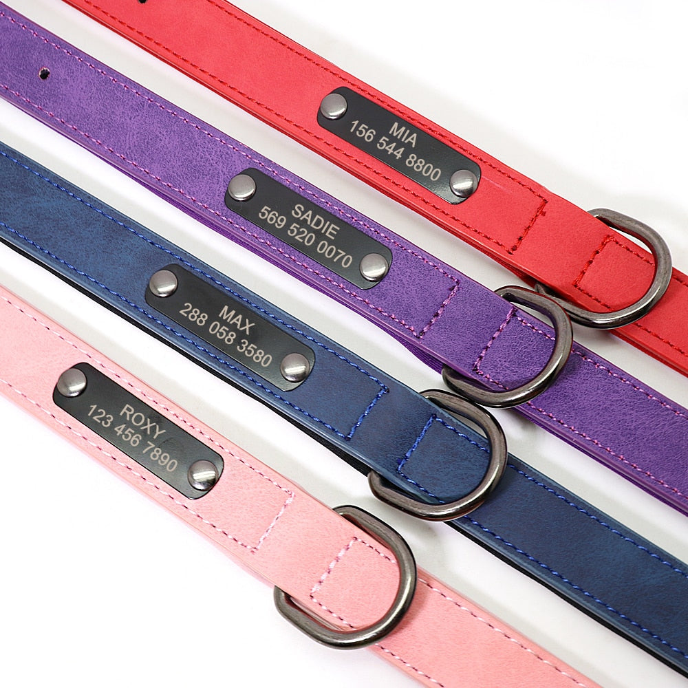 Small Dogs Leather Collar Engraved Puppy Pet ID Tag