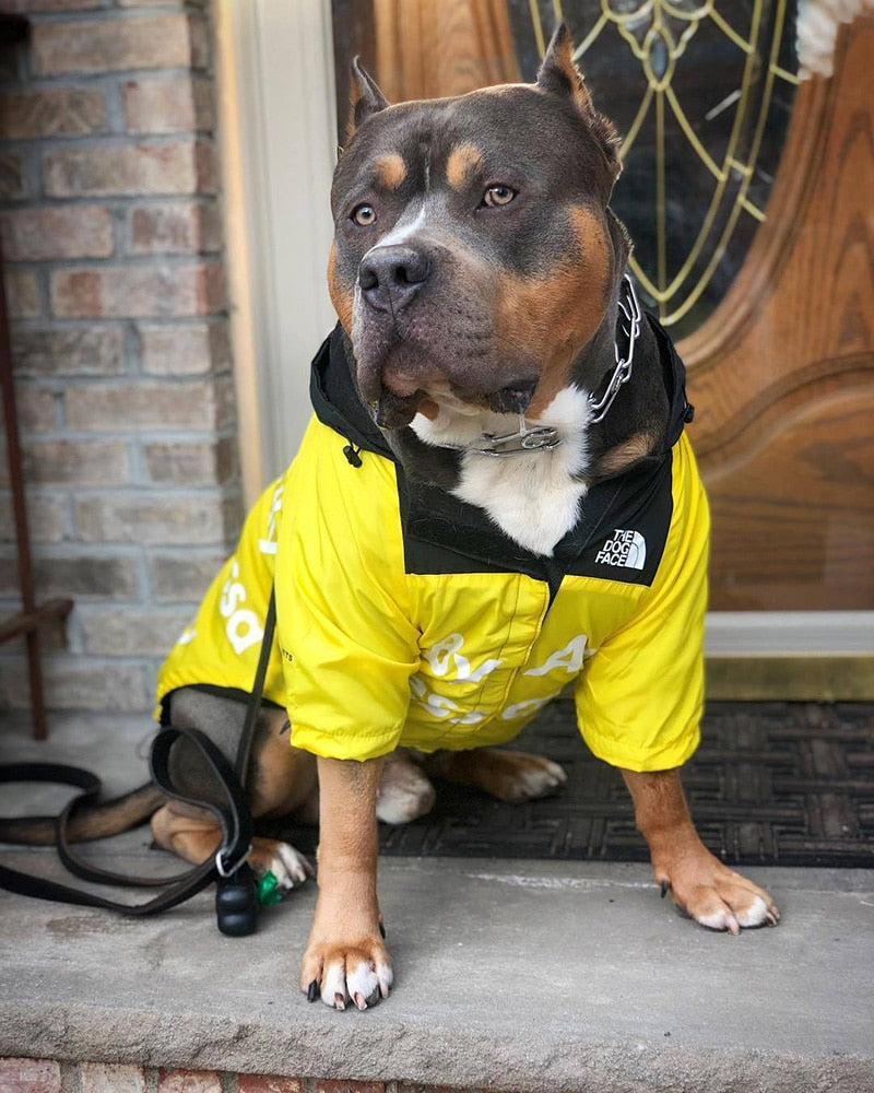 The Dog Face Stylish Windproof Raincoat Dogs
