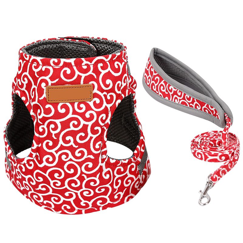 Cat Vest Outdoor Travel Harness & Lead Set