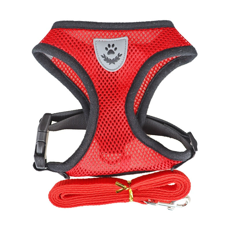Nylon Mesh Harness And Lead Breathable for Small Dogs & Puppies