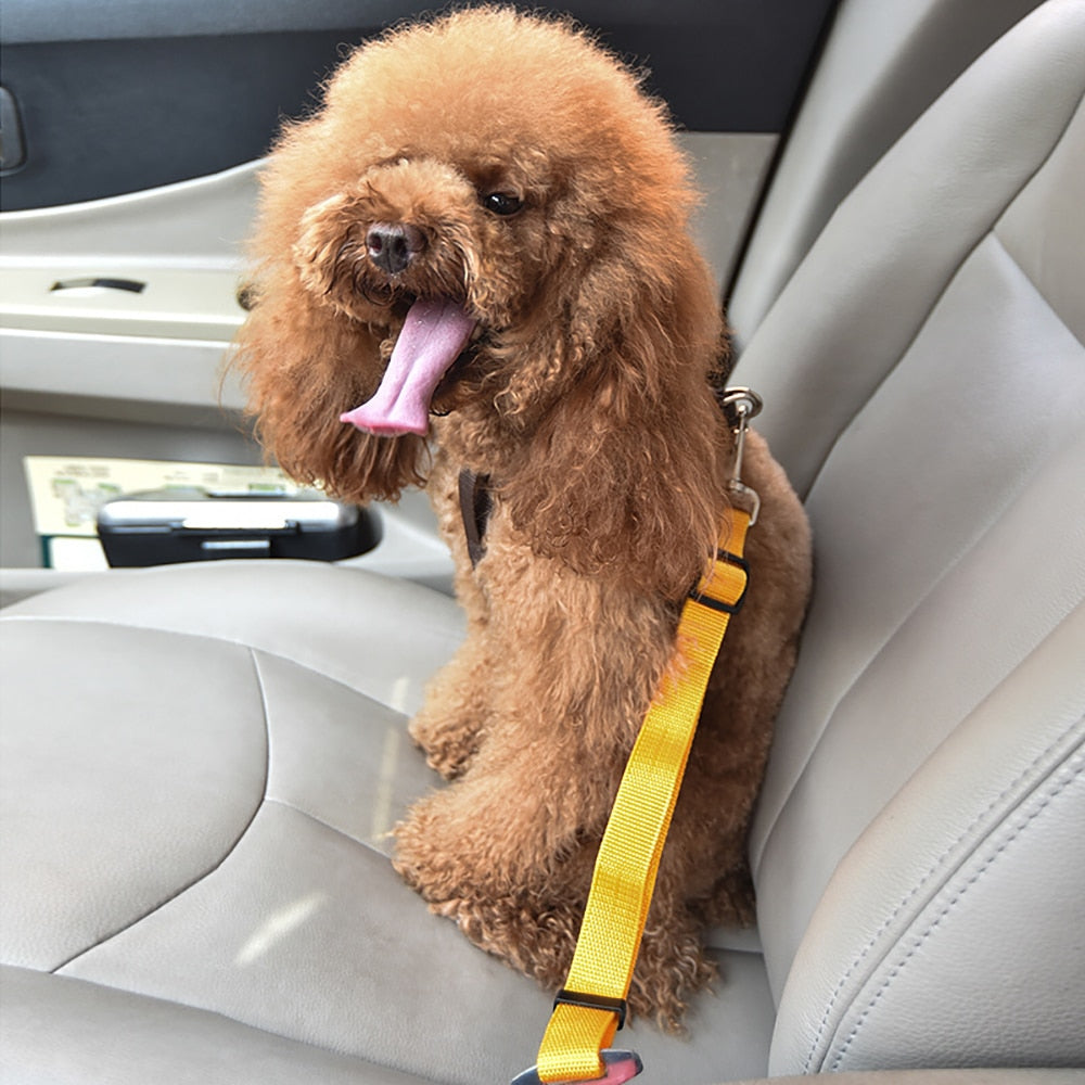 Adjustable Seat/Safety Belt For Dogs(Available in multiple colours)