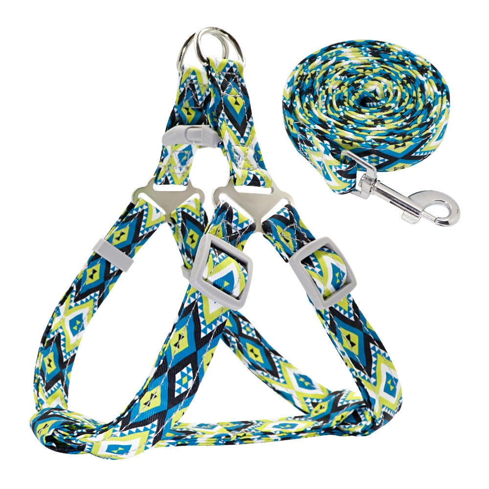 Adjustable Nylon Small/Medium Dog Harness & Lead Set