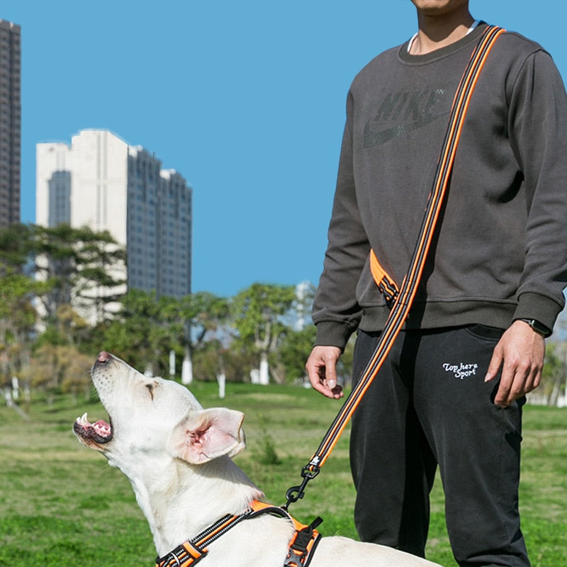 Truelove 7 In 1 Multi-Function Adjustable Dog Lead Hand Free Pet Training Lead Reflective Multi-Purpose Dog Lead