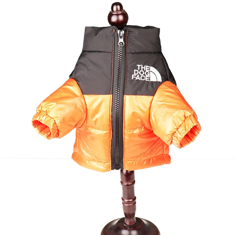 Dogs Windproof Showerproof Reflective On Trend Jacket