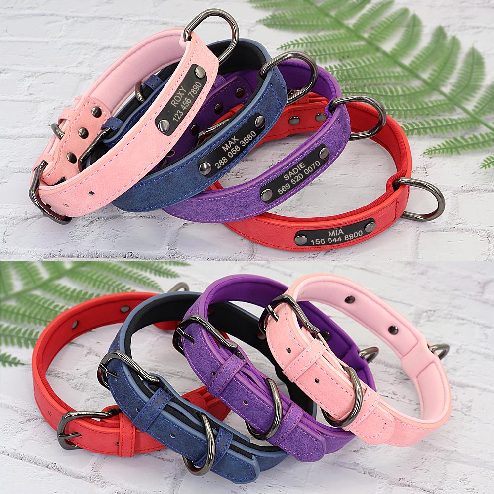 Small Dogs Leather Collar Engraved Puppy Pet ID Tag