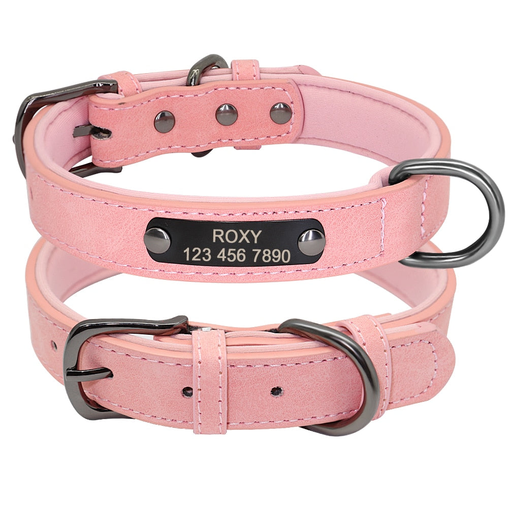 Small Dogs Leather Collar Engraved Puppy Pet ID Tag