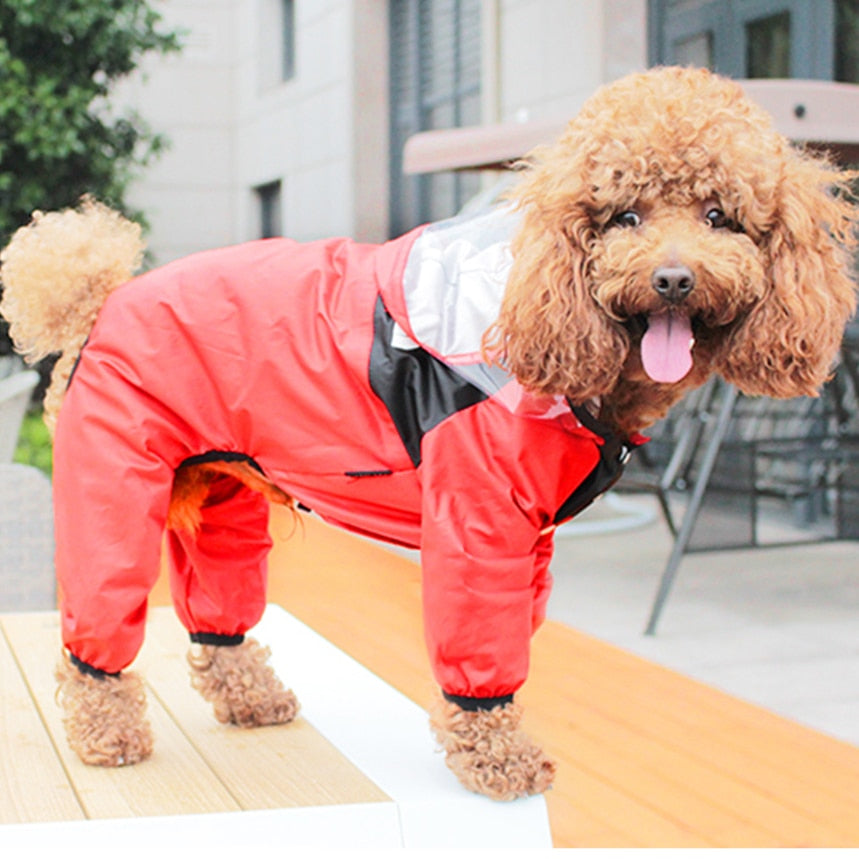 Dogs Transparent Hooded Waterproof Coat
