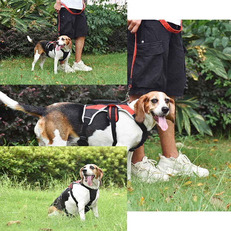 YUDODO Professional Nylon Large Dog Training Harness for Safety Reflective Adjustable Quick Control Harnesses
