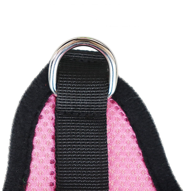 Nylon Mesh Harness And Lead Breathable for Small Dogs & Puppies