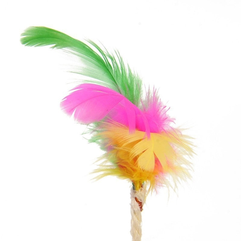 Cat Toy Scratching Ball with Teasing Feather for Interactive Play