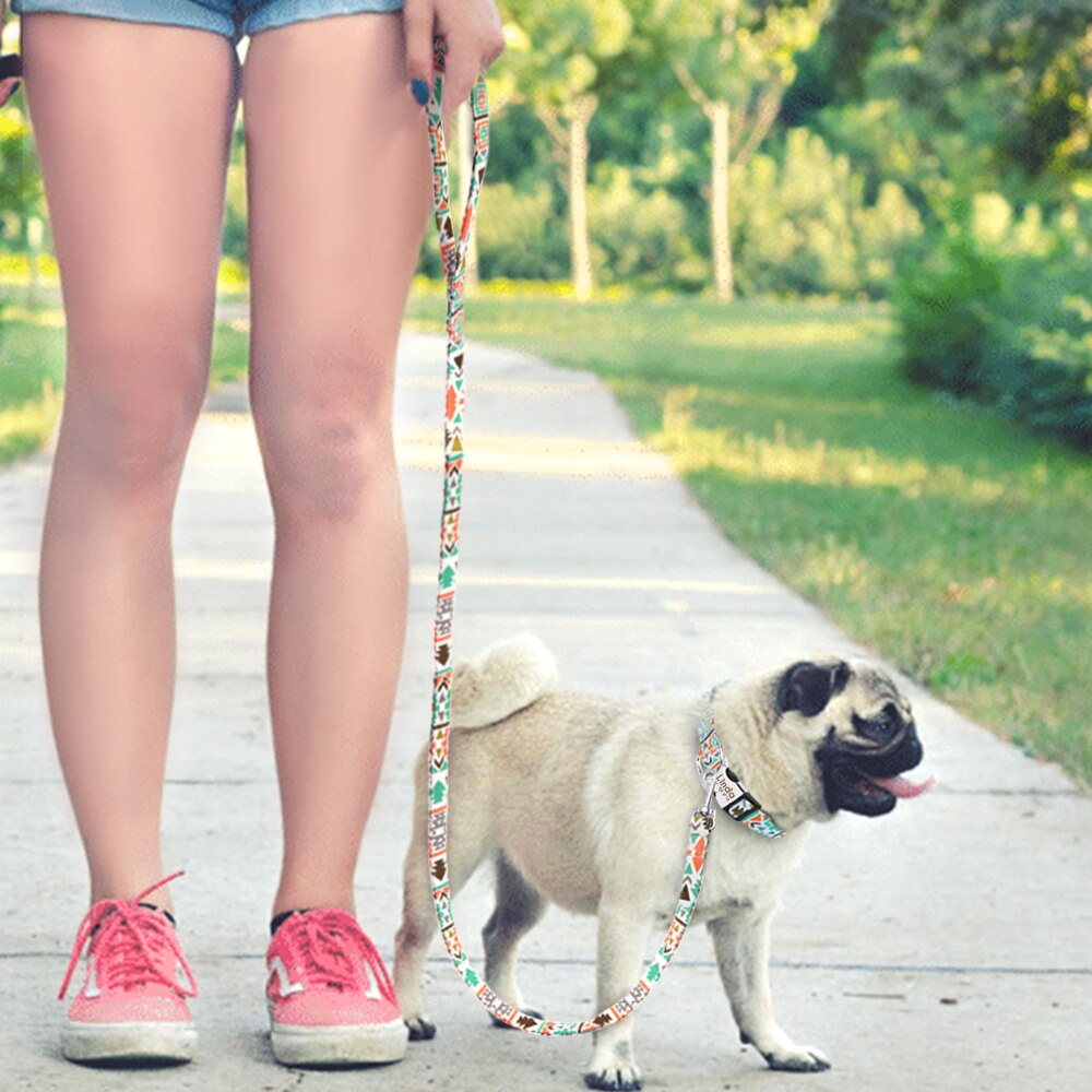 Thick Nylon Printed Dog Lead