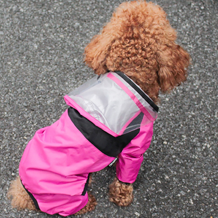 Dogs Transparent Hooded Waterproof Coat