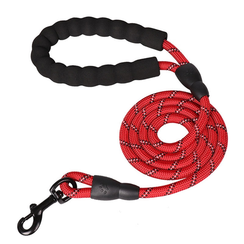 Fur Baby Life Loves this * High Quality Luminous Beautiful 1.5M Nylon Safety Buckle Dog Pet Leash
