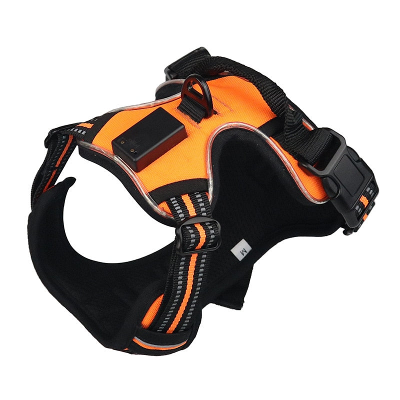 Dogs LED Harness with Flashing Light for Safety