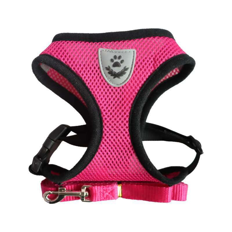 Nylon Mesh Harness And Lead Breathable for Small Dogs & Puppies