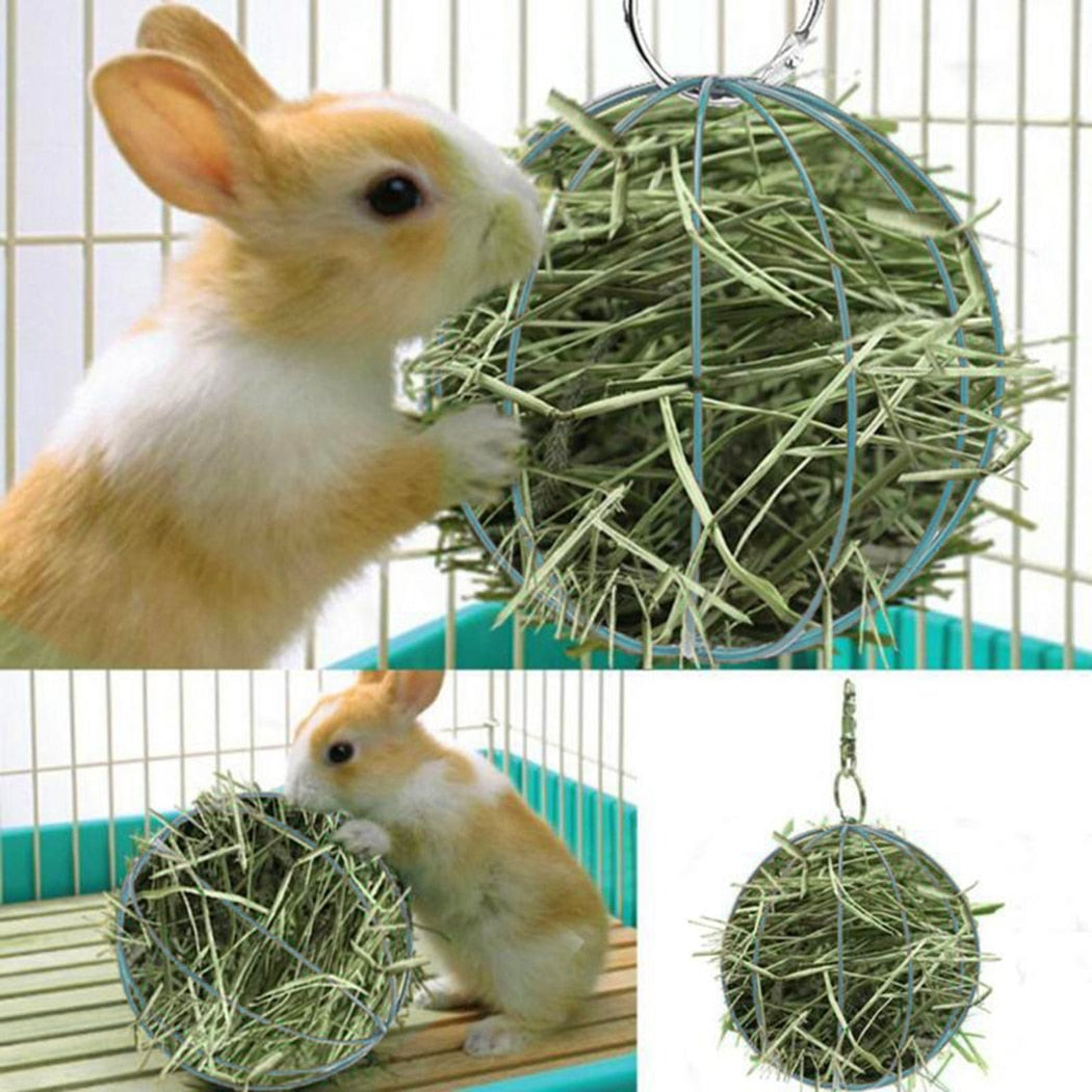 Hay Manger Food Ball made from Stainless Steel For Small Fur Babies