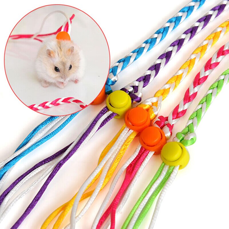 Adjustable Small Pet lead