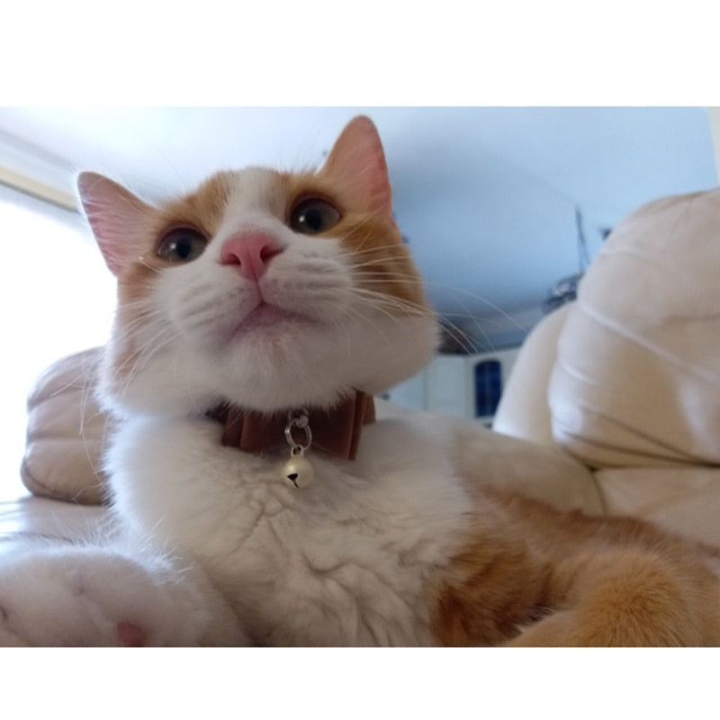 Velvet Bow Tie Cat Collar With A Bell(Multiple colours available)