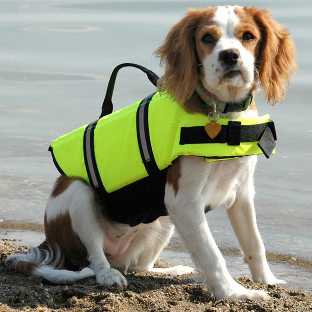 Dog Life Vest Summer Printed Life Jacket Dog Safety Swimwear