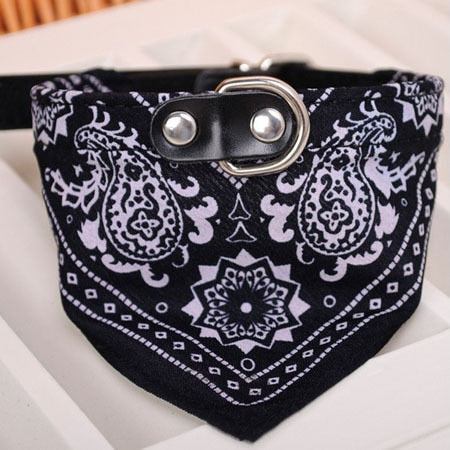 Dog Scarf Collar Fully Adjustable