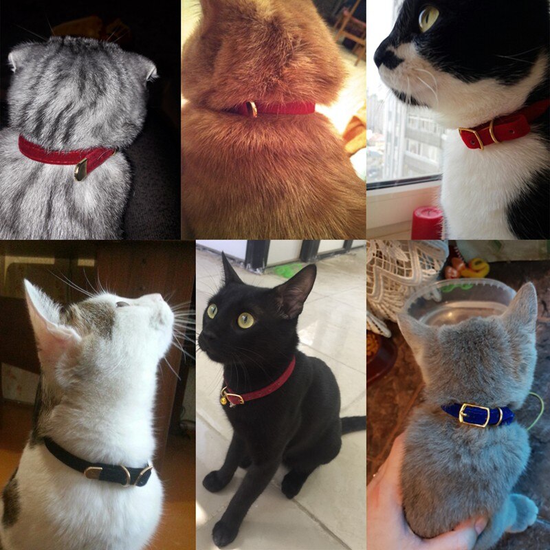 Cat Collar With Bell