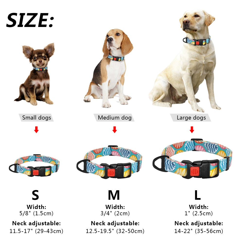Fashion Nylon Dog Collar with Safety Buckle Soft Printed Collar Adjustable