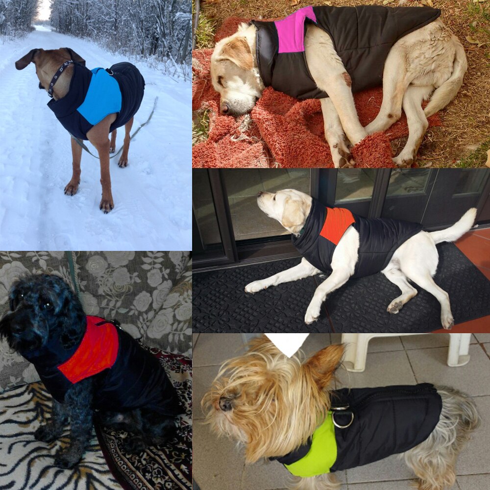 Dog Jacket For Small Medium Large Dogs