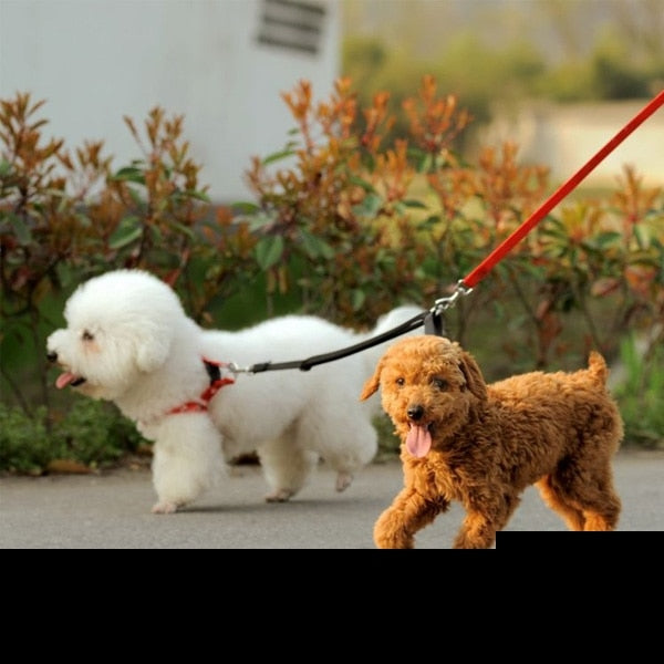 Nylon Double Dog Twin Lead 2 Way Two Dogs Walking Lead