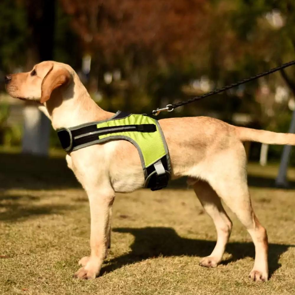 LED Luminous Dog Harness Light Up Dog Chest Strap Pet Safety Reflective