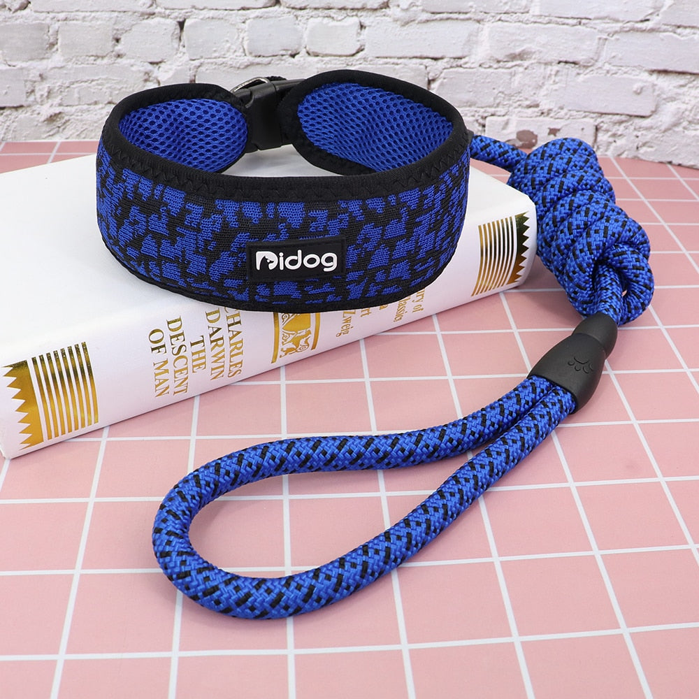 Nylon Mesh Dog Collar With Rope lead(For M/L/XL dogs)