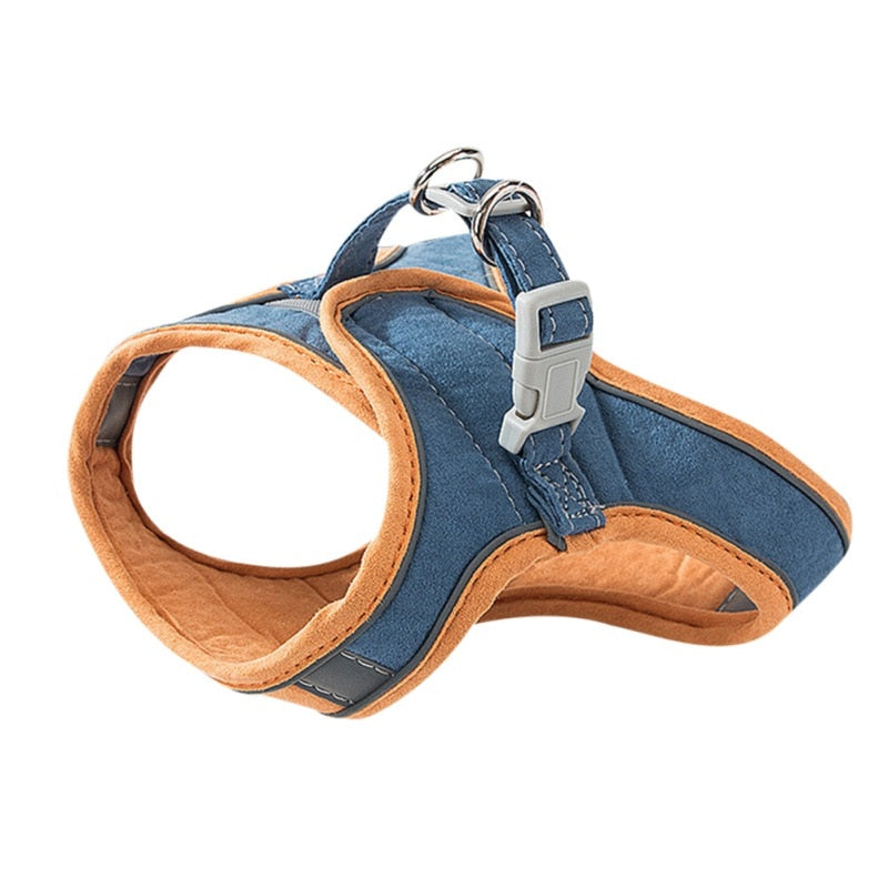 Cat Harness & Lead Set