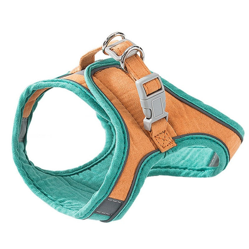 Cat Harness & Lead Set