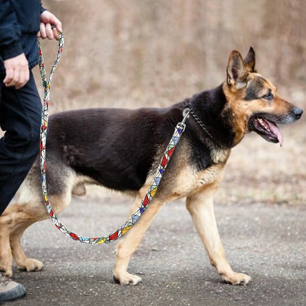 Thick Nylon Printed Dog Lead