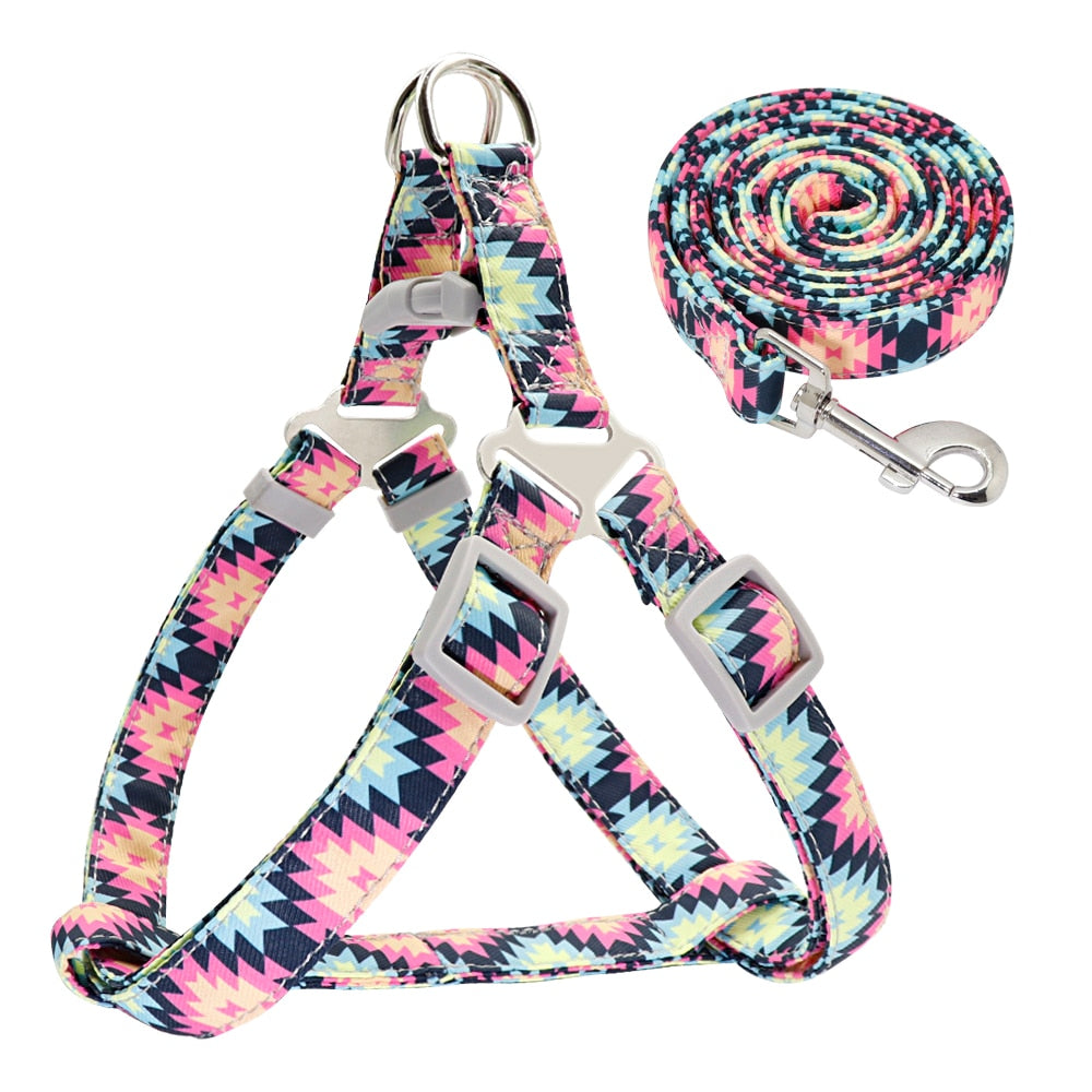 Adjustable Nylon Small/Medium Dog Harness & Lead Set