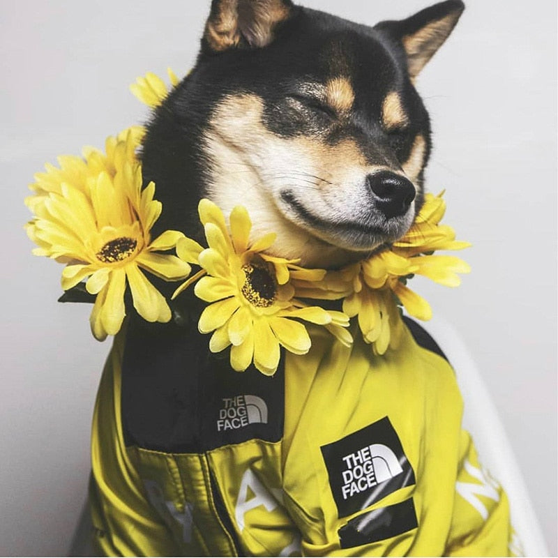 The Dog Face Stylish Windproof Raincoat Dogs