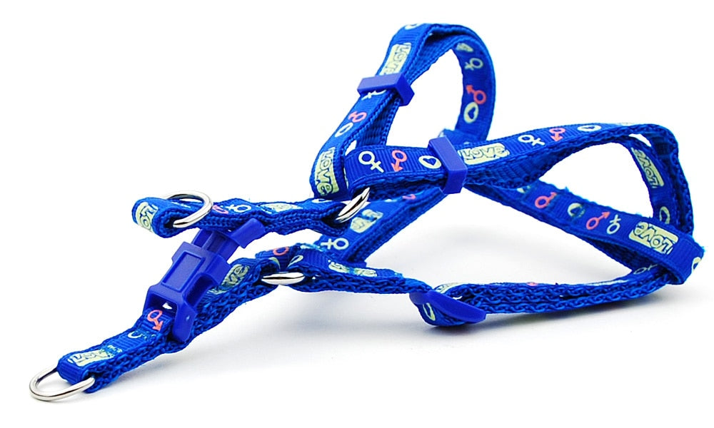 Dog Harness and Lead Adjustable Collar