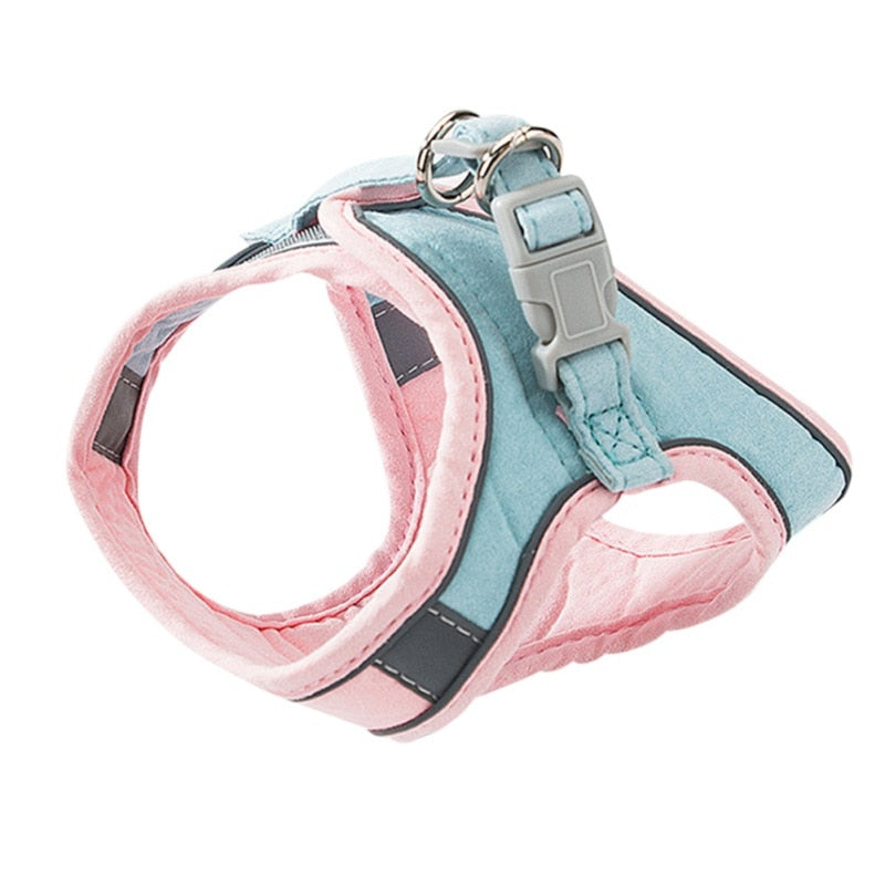 Cat Harness & Lead Set