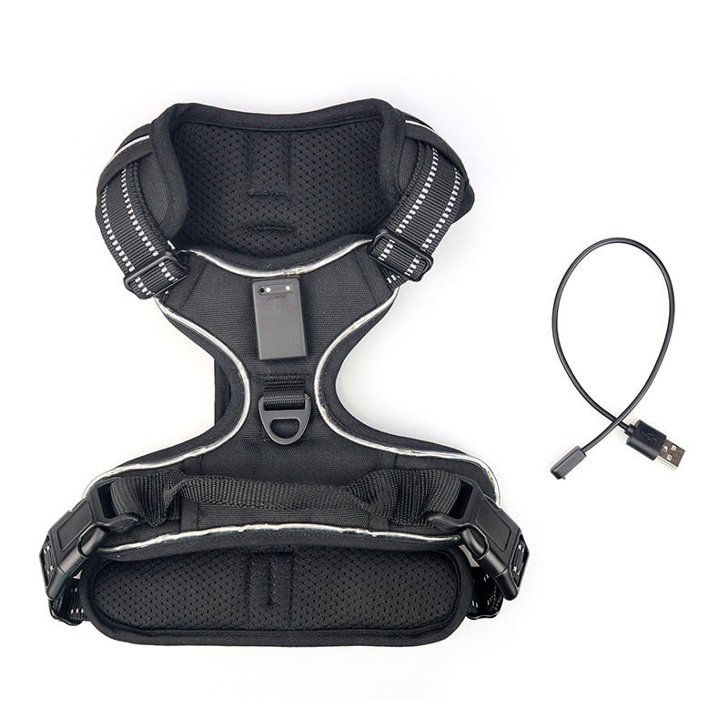 Dogs LED Harness with Flashing Light for Safety