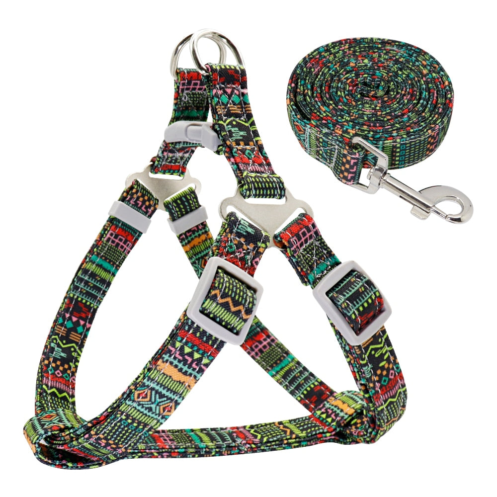 Adjustable Nylon Small/Medium Dog Harness & Lead Set