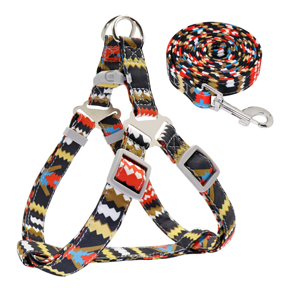 Adjustable Nylon Small/Medium Dog Harness & Lead Set