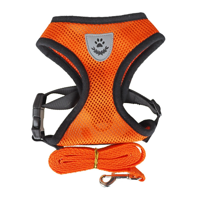 Nylon Mesh Harness And Lead Breathable for Small Dogs & Puppies