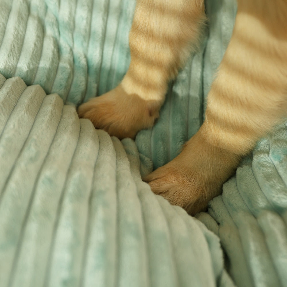 Large Dog Soft And Comfy Flat Bed(Removeable and washable cover)