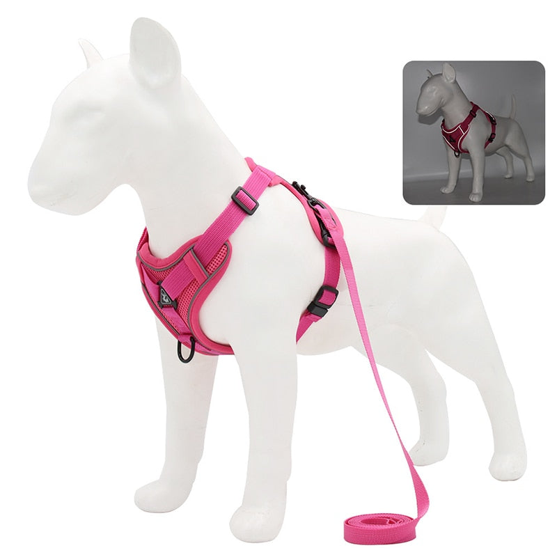 No Pull Dog Harness and Lead Set Adjustable Vest For Small Dogs with Reflective Mesh
