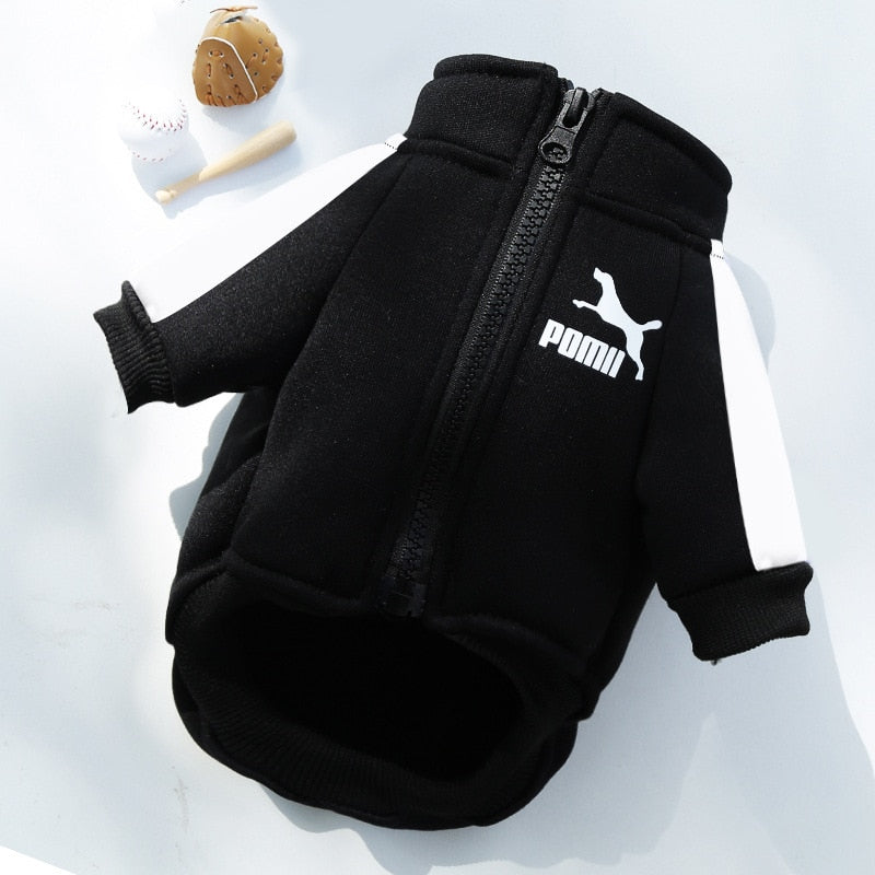 Tracksuit Style Winter Jacket For Small And Medium Dogs