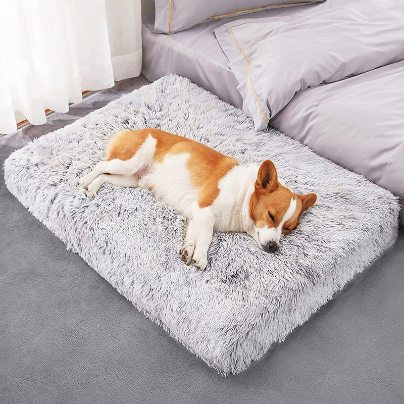 Plush Dog Bed with Removable Covers for Cleaning Super Soft Claming Beds