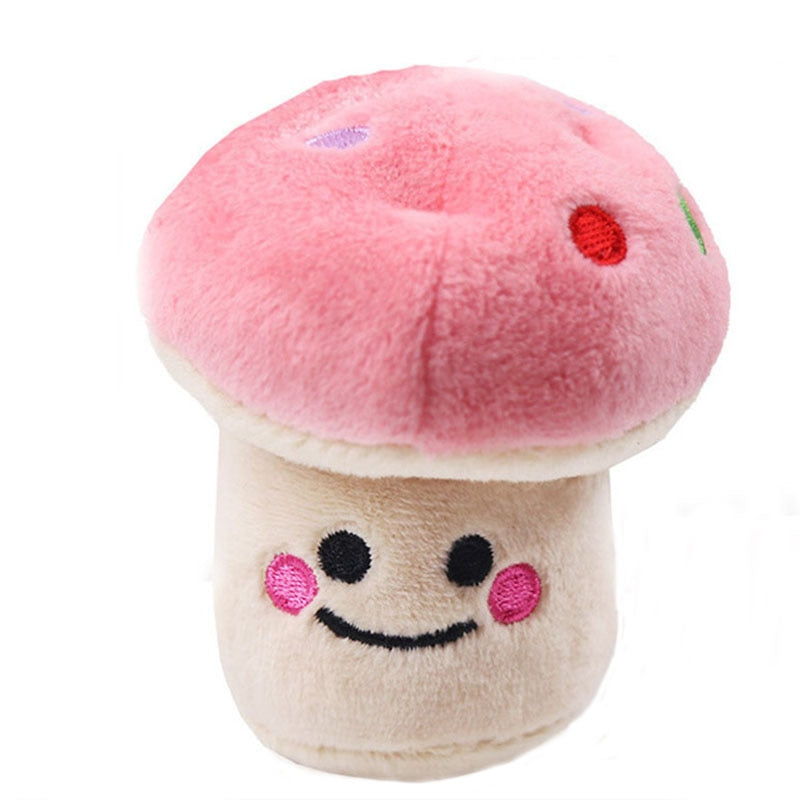 Dog Plush Squeaky Toys
