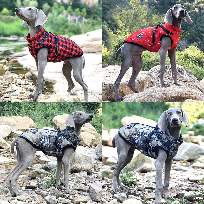 Dog Jacket With Harness Warm & Waterproof