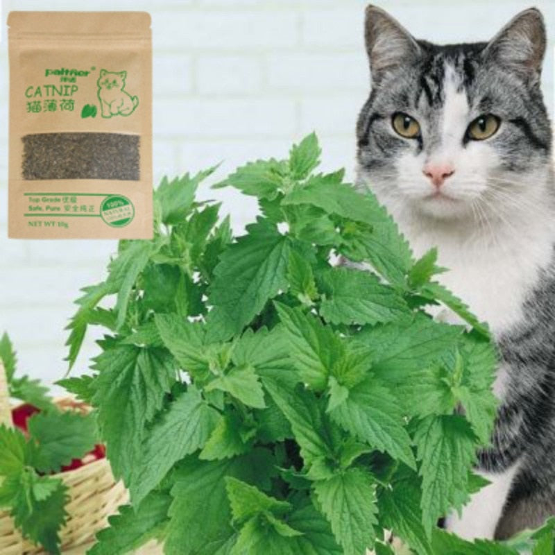100% All Natural Premium Catnip (Non-toxic 10g)
