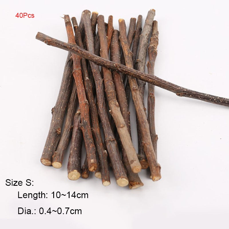 Teeth Grinding Apple Tree Stick with Minerals For Hamsters and Other Small Rodents