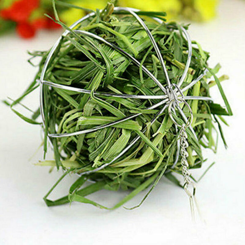 Stainless Steel Round Sphere Feed Dispenser Hanging Hay Ball